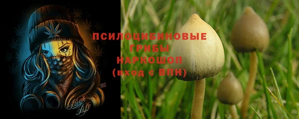 ГАЛЛЮЦИНОГЕННЫЕ ГРИБЫ Арсеньев
