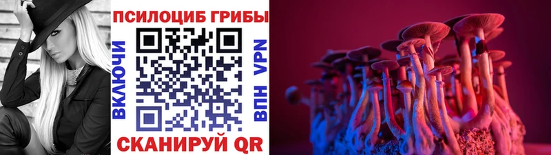 Галлюциногенные грибы мицелий  KRAKEN зеркало  Усть-Катав 